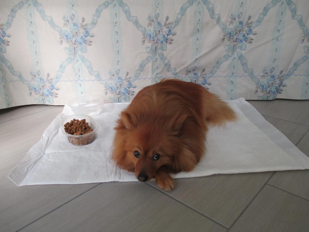 Dimora&Arte B&B Canneto sull'Oglio Quarto foto